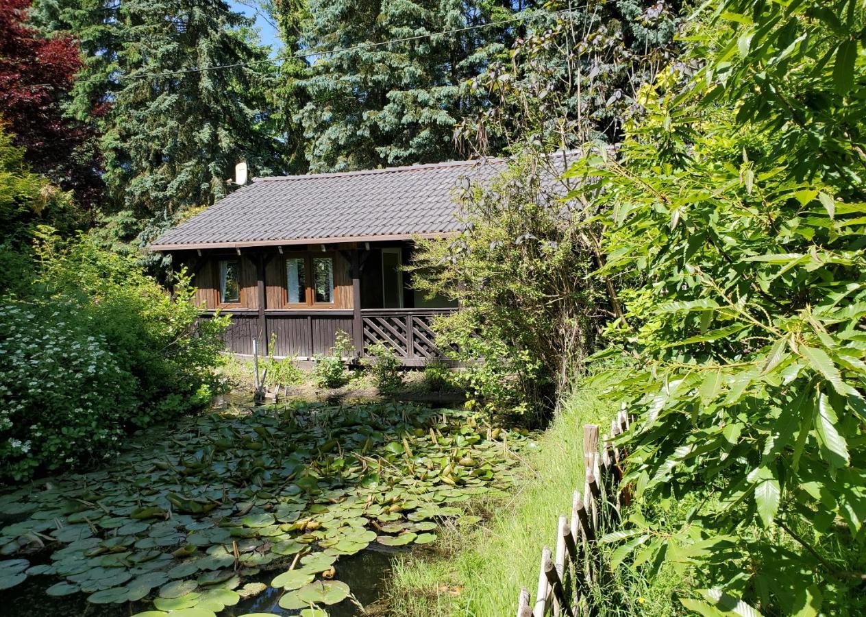 Dankowska Dolina Villa Exteriör bild