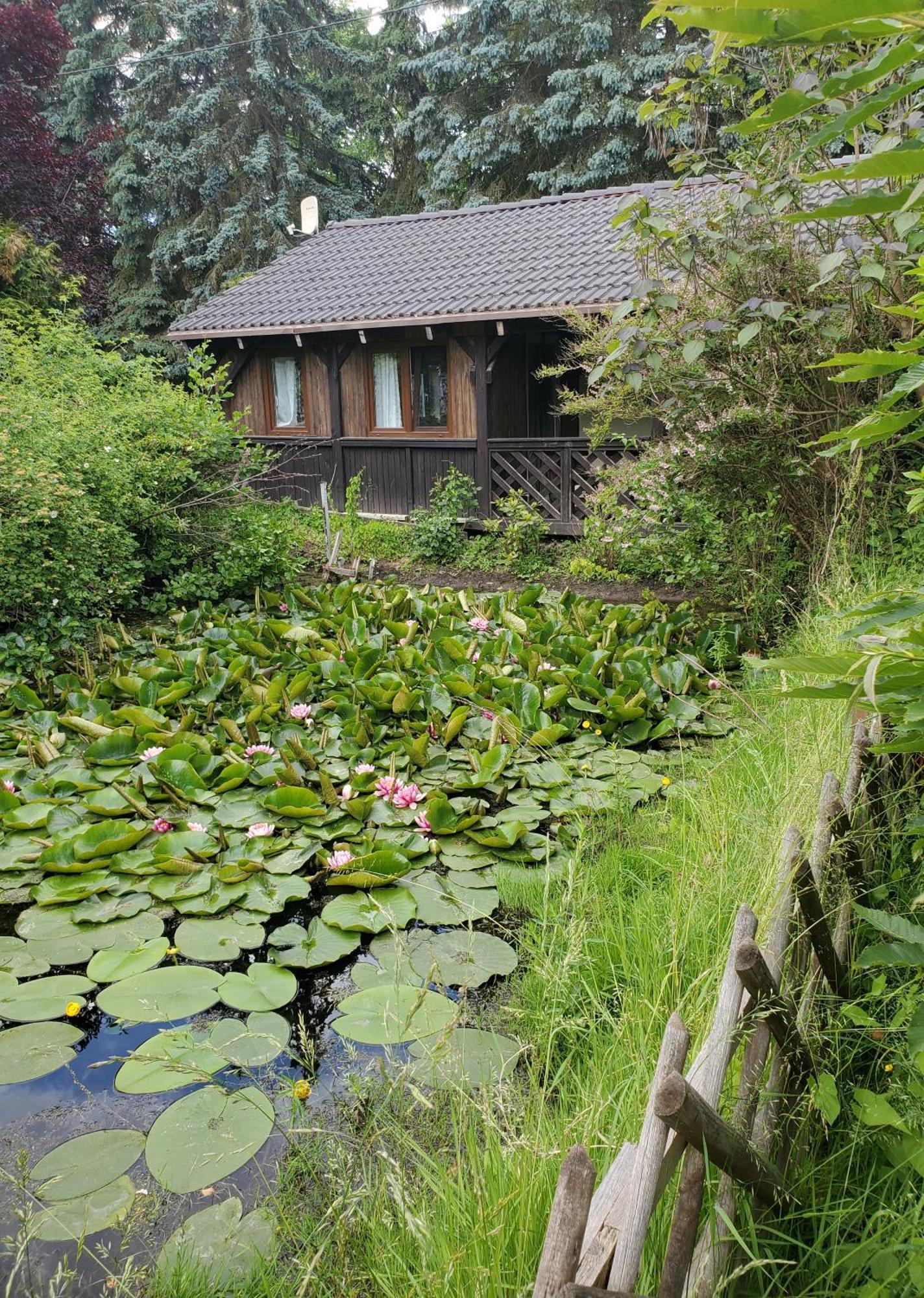 Dankowska Dolina Villa Exteriör bild